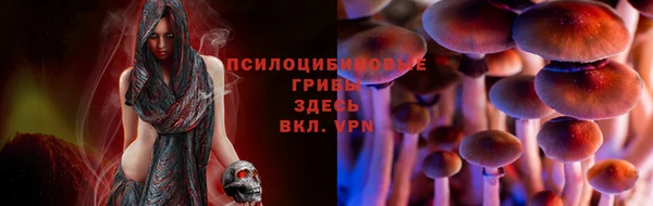 молекула духа Алзамай